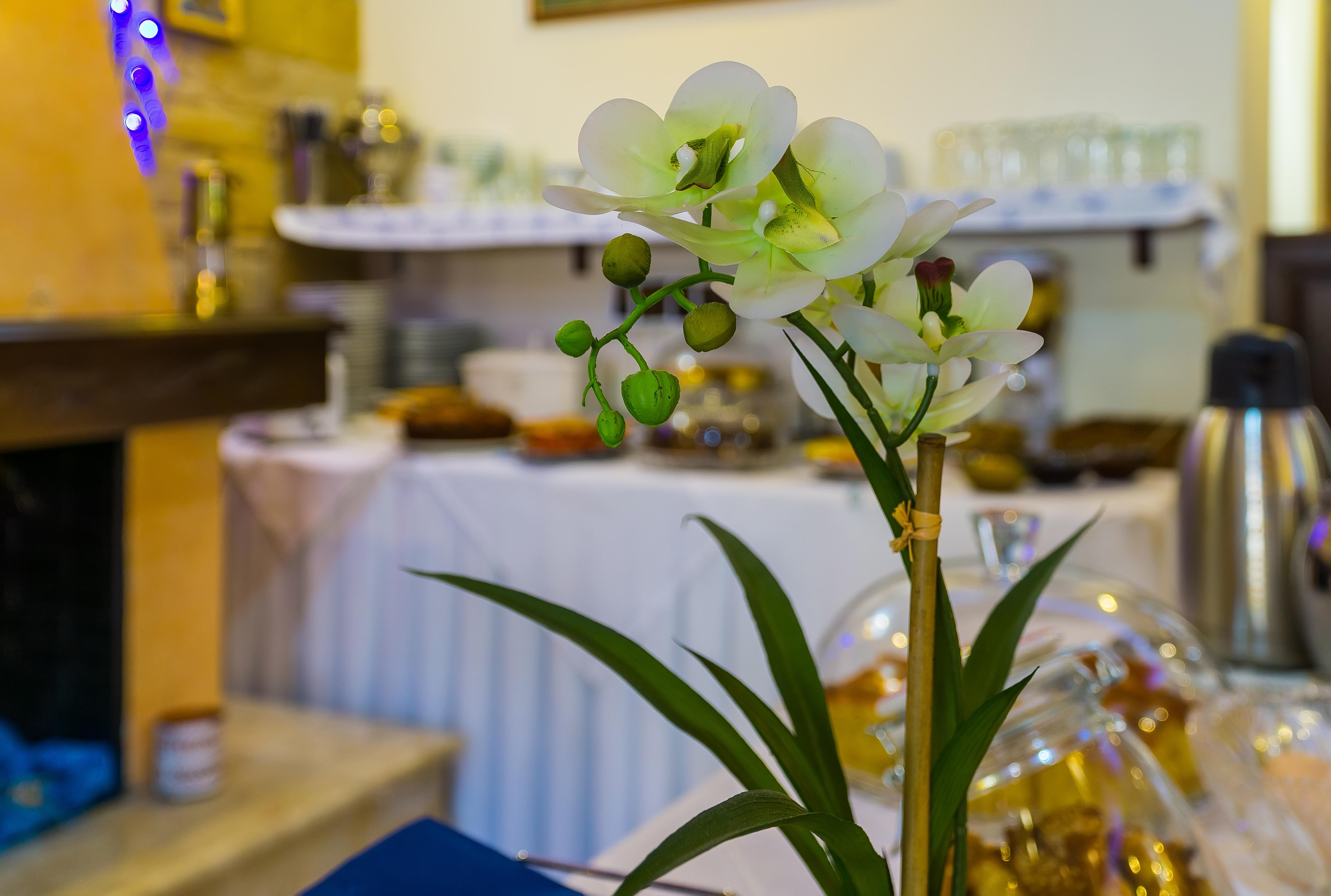 "Epavlis Boutique Galaxidi"酒店 外观 照片